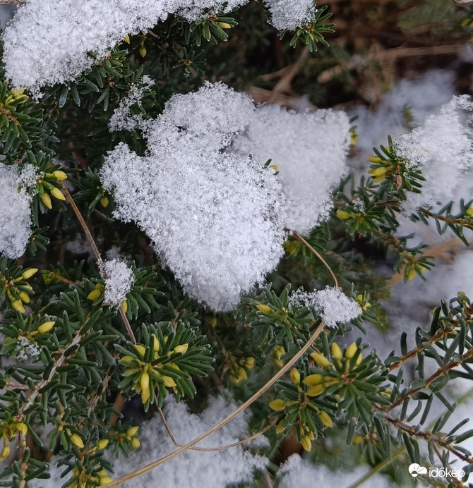 Nem sok maradt a hóból...