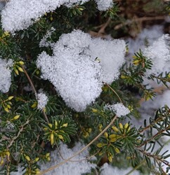 Nem sok maradt a hóból...