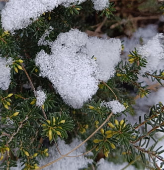 Nem sok maradt a hóból...