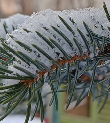 Ma reggelre is esett hó,de már megint olvad...
