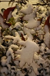 Végre az Alföldre is megérkezett a tél!