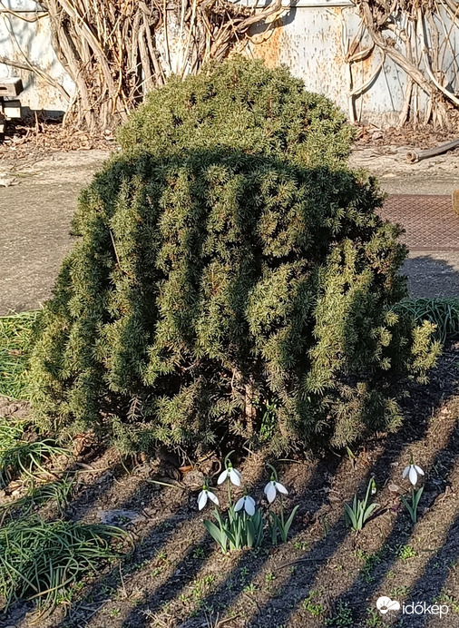 Tél végi hangulatban