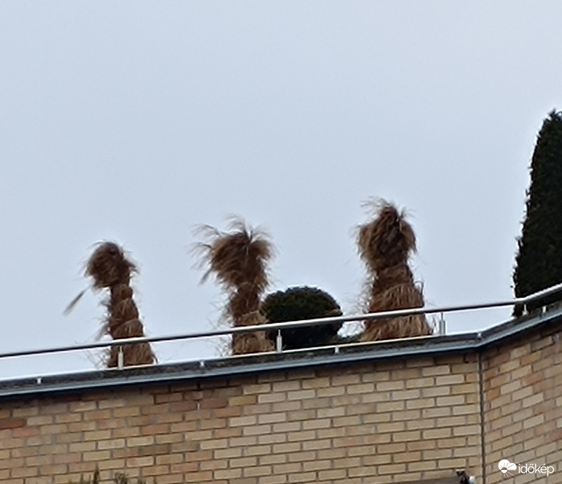 Ti kik vagytok ott a háztetőn?