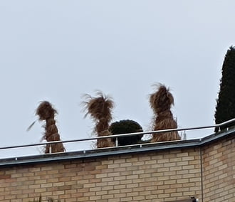 Ti kik vagytok ott a háztetőn?