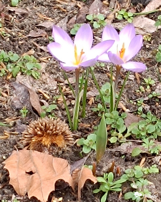 Küszöbön a tavasz!