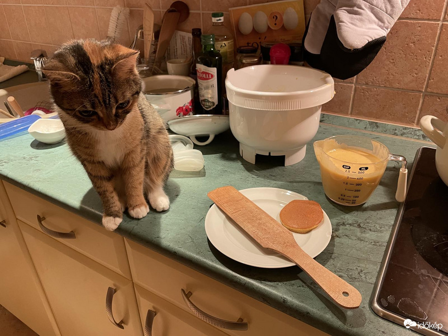 Nem segíthetek a sütésnél....(lányom fotója)