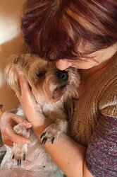 Az állatok világnapjára