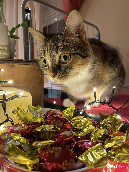 Húha!...(lányom fotója)