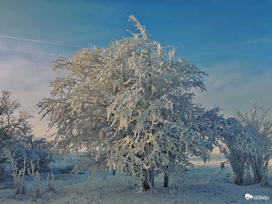 Zúzmarába öltözve