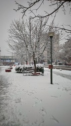 veszpirelli fotója