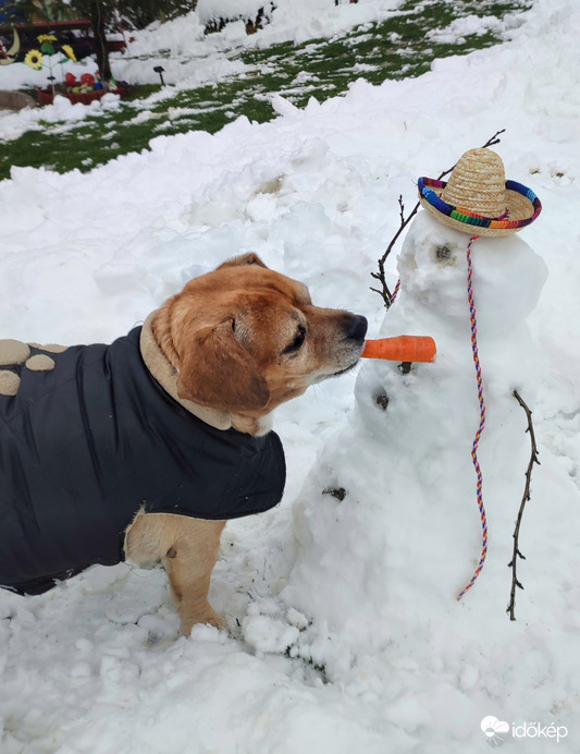 Had kóstoljalak meg 