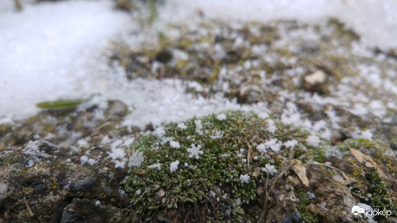 Egy kis hópihében történt ez a csodás eset....