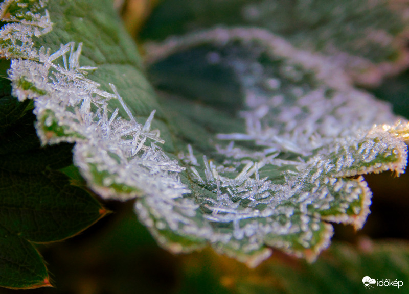 Első reggeli fagyok