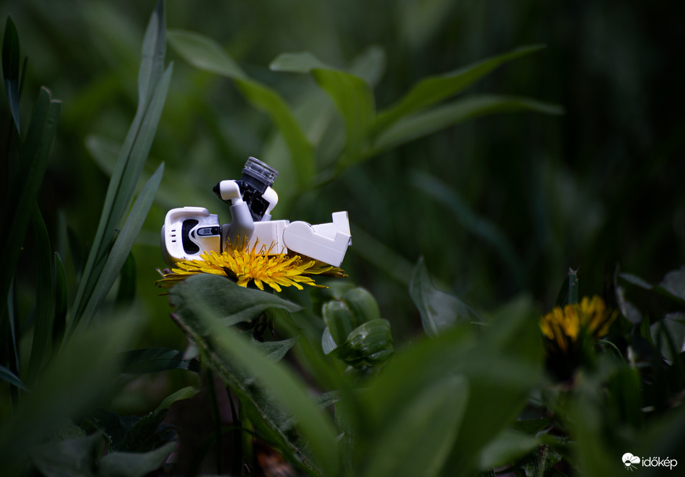 A természetfotós nehézsègei ;D