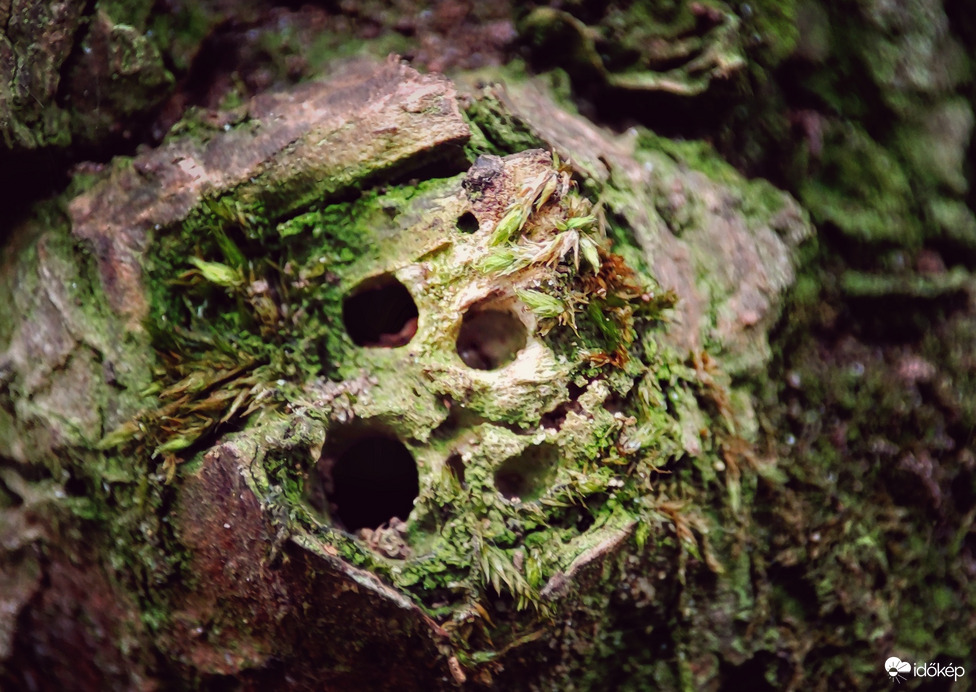 Ő sem érti hol a tavasz :D 