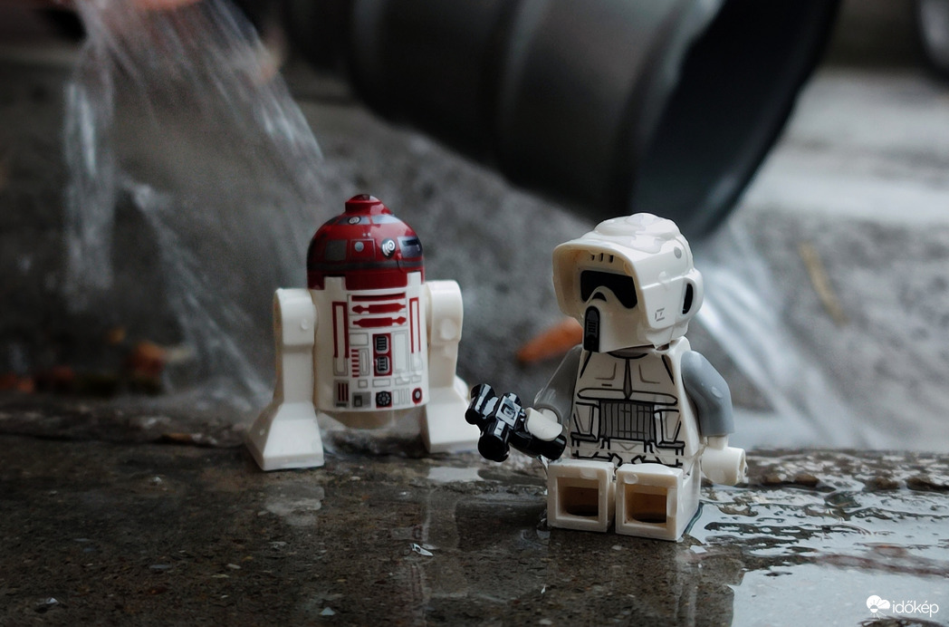 Ők sem hitték el hirtelen, hogy zivatar van