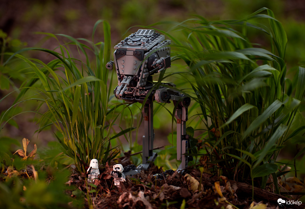 Kissé szeles az idő ;D