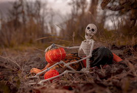 Aki örül, hogy melegszik az idő 