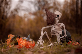 Nézni se bírom ezt a hideg időt 