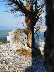 Balatonboglár