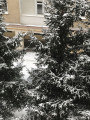 Miskolc