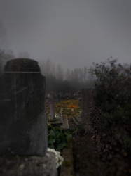 Ködbe borult temető 