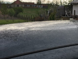 Székely
