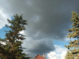 Kiskunhalas