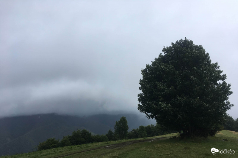 Túl az erdőhatáron 