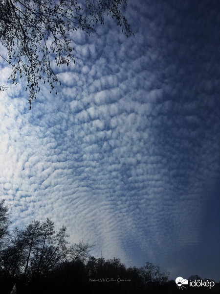 Altocumulus undulatus