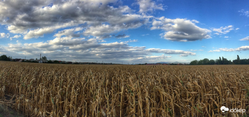 Forró és Encs között 