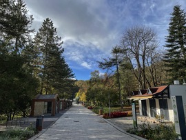 Miskolc