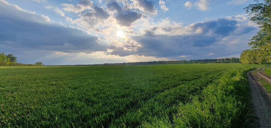 Tiszaföldvár