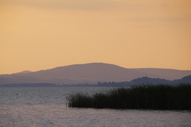 vikuci fotója