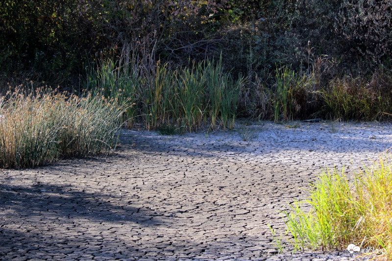 Kiszáradt tó