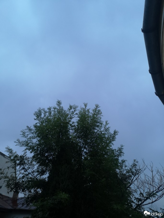 Kisvárda