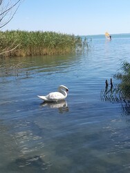 Balatonalmádi