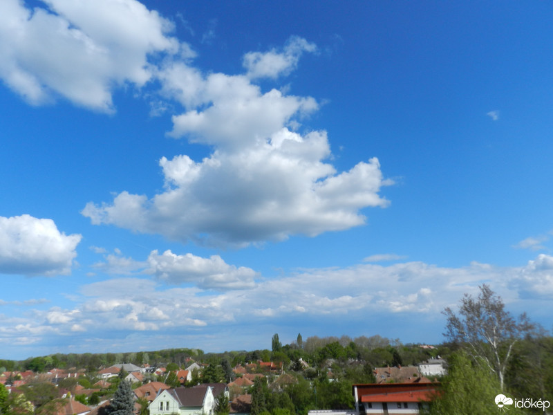 Gyula
