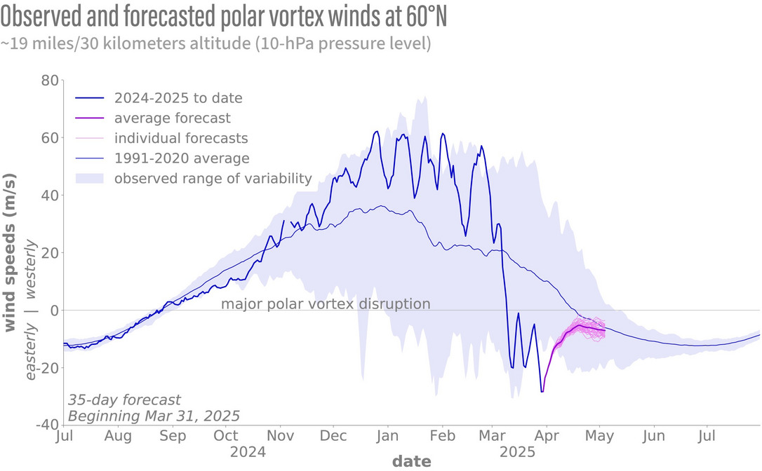 2025 Polar Vortex