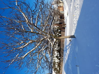 Tél_Cegléden_2026_01_08