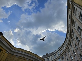 Corvin-köz