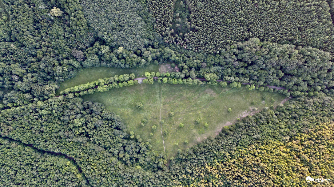 Az ország legnagyobb pillangója