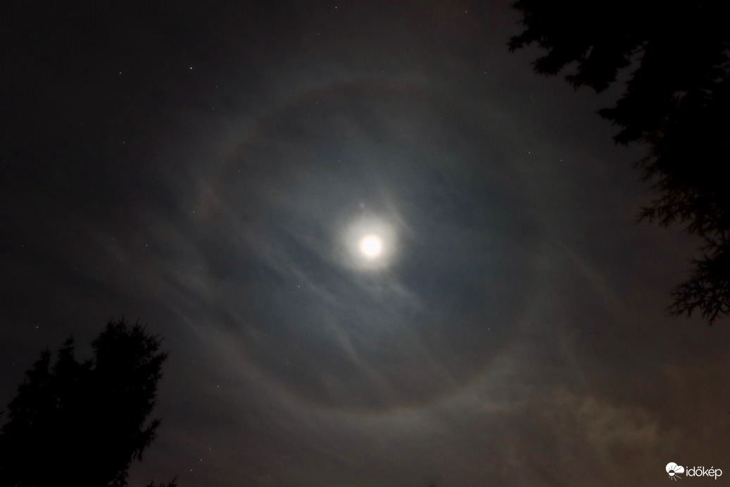 Hold-halo
