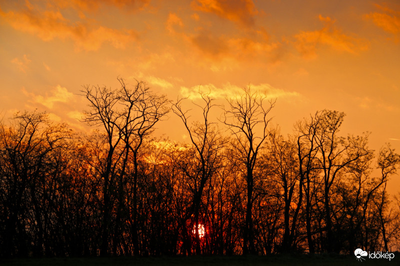 Merzse-mocsár mögött