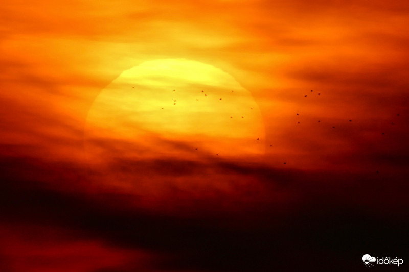 Varjak a naplementében