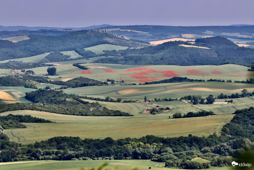 Lankák