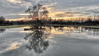 Ipolyvarbó melletti rétek