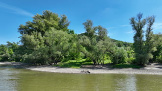 Dömös (Dunakanyar)