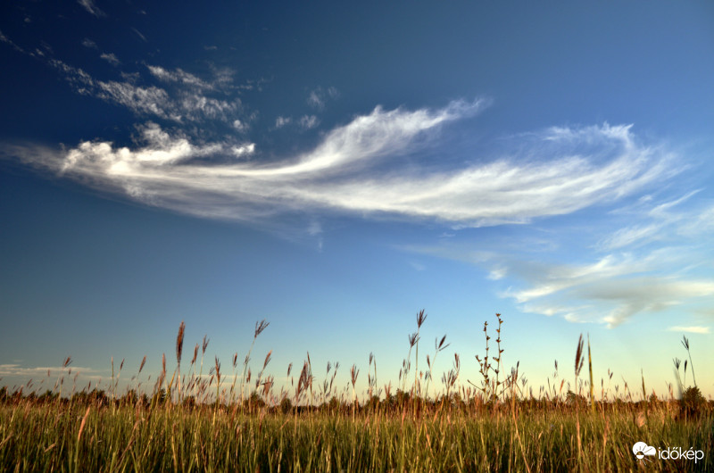 Cirrus naplemente előtt