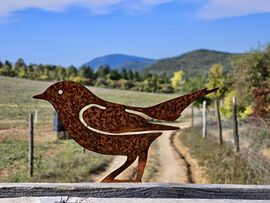 Pilisborosjenő határában